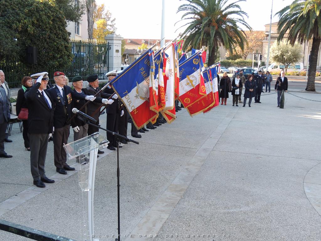 2022 12 05 TOULON HOMMAGE AUX MORTS POUR LA FRANCE EN AFN (71).JPG -           
